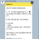 DS치과의원 | [출국 4개월 전] 여권 수령, 기숙사 신청, F1&F2비자 서류준비부터 인터뷰 예약까지(feat. 당근마켓...