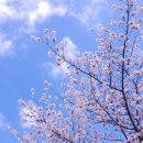 삼흥주유소 이미지