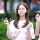 스텔라컴퍼니