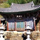 영천 영지사 대웅전 이미지