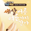 품다태권도장 - 용인시 기흥구 신촌로47번길 6 | 품다태권도장