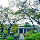 김영갑갤러리두모악 이미지