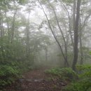 유림-1089 | 문화재와 함께 하는 설악의 시간여행<7> 국가지정 문화재 명승 제29호 구룡령 옛길