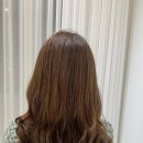 하쏘헤어 이미지