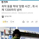 최악 동물 학대 ‘양평 사건’…개 사체 1200마리 넘어 (펫샵의 모견 죽이는 방법) 이미지