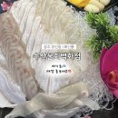 광주 양산동 맛집 | ‘수산물회백화점’ 후기 | 스끼다시 잘나오는 신선한 횟집!
