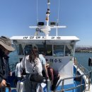 시방항여객터미널 | 이수도 1박3식 이수도가는방법 배편 시간 현장예매 시방선착장 주차 총정리