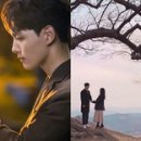 델루나헤어