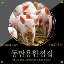 넝쿨복권 이미지