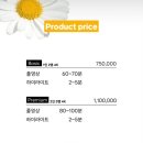 비디오하우스 이미지