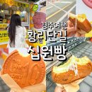 영양치즈십원빵 | 황리단길에서 발견한 치즈 가득 십원빵 후기 경주 간식 먹어보기