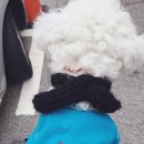 천원부터 이미지