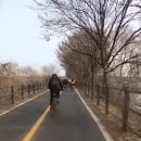 자전거 도로 사고 이미지