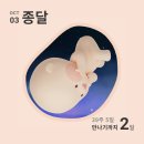 쏠파스타 | 세종 새롬동 피자 맛집 피제리아 델 쏠 피자, 파스타 솔직후기(주차, 양, 맛, 가격)