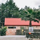 협재둥지 이미지