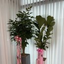 북구천사 복지센터 | 대전요양서비스 가족의 품처럼 따뜻한 천사재가복지센터 후기