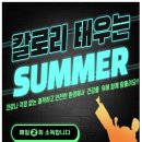 용인대미르태권도 이미지