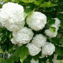 나들목민박 이미지