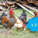 축진농장 이미지