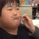 어쩔어쩔로 살고 있는 나의 일상
