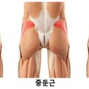강 PT 이미지