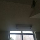 진달래공인중개사사무소 이미지