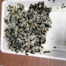 김포 족발 불맛 땡길 때 통진왕족발 후기