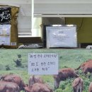 태영한우소머리국밥