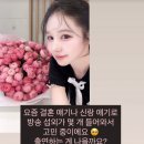 16 스타뉴스