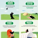 댕댕이 숲 이미지