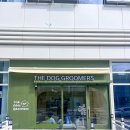 더독그루머스 이미지