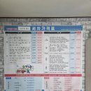 애니모터스