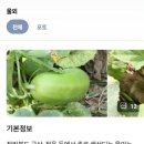 대원철뚝집 이미지