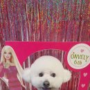 온블리살롱 이미지