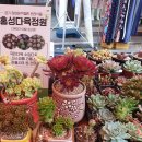 고북상회 이미지