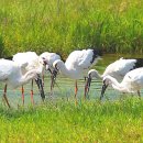 예산황새공원 주차장 이미지