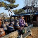 이화정원