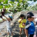 무을초등 병설 이미지