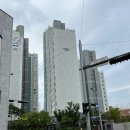 씨유울산야음원룸점 | 야음동꽃집 &#39;꽃피울&#39; 세번째 스무살 기념일 예쁜 꽃바구니 선물 후기