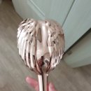 광준농장 이미지