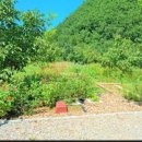 상수리숲농장 이미지