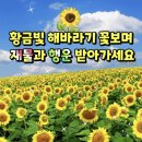 신도시센텀부동산중개 이미지