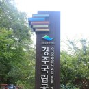 경주 무장산(무장봉 624m) 이미지