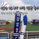 [포항야구장 직관 후기] 삼성 라이온즈 vs KT 위즈 1루 B5구역 시야 꿀팁 &amp; 출입구 정보 (feat. 기아...