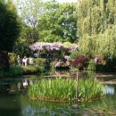 모네의 정원 이미지