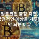 에스텔리트 이미지