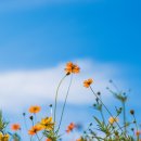 더소리터 이미지