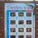 무금로 이미지