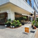 인천 송도 트리플 스트리트 예쁜 애견 동반 카페 : 리리플라워 카페