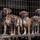 원천농장 이미지